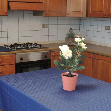 Bed and Breakfast A Casa Di Lucia Pisa Exterior foto